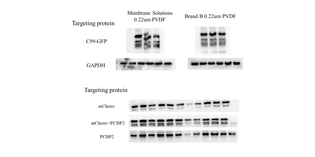 0.22μm PVDF Membrane Performance Comparison Test