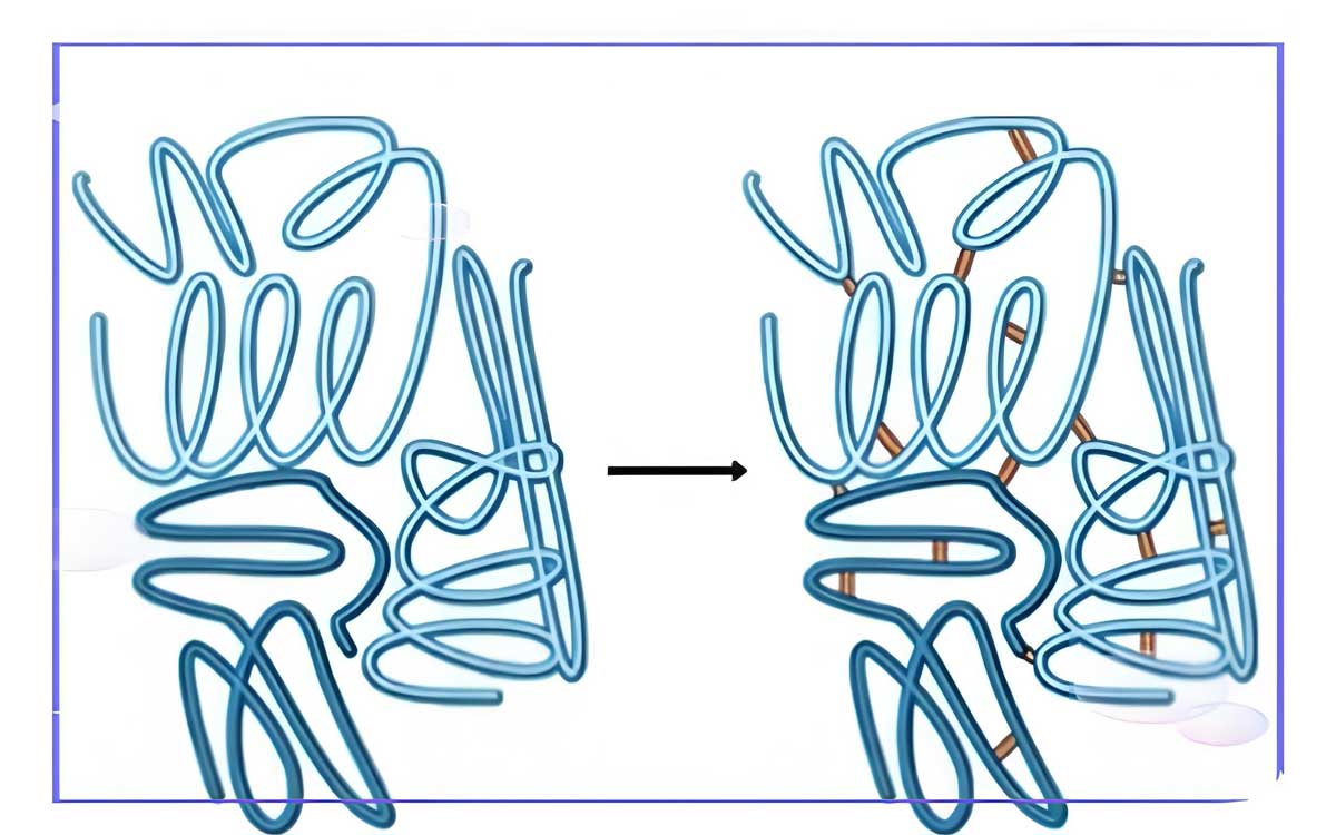 Flow cytometry experiments