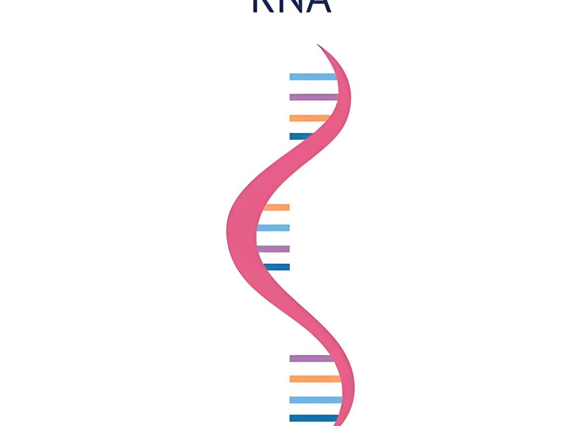 rna