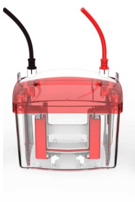 Transparent-Electrolyzer-Cell