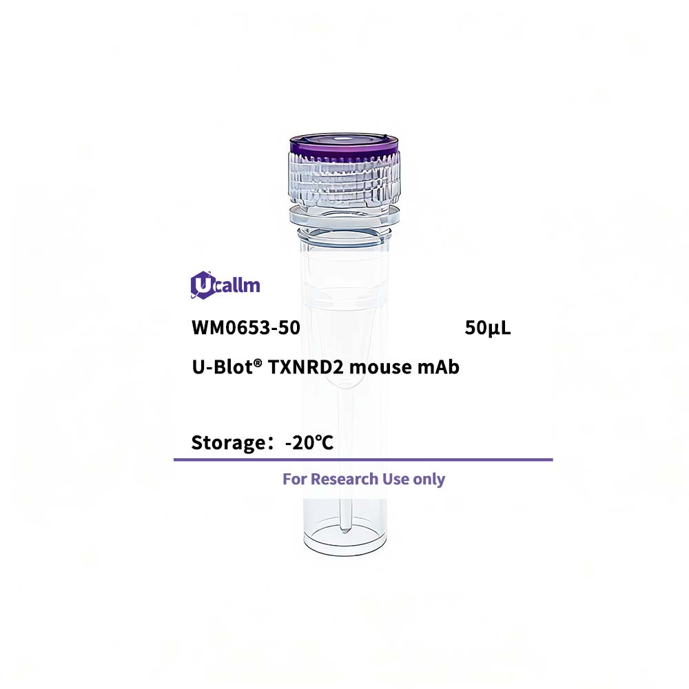 Ucallm_WM0653-50