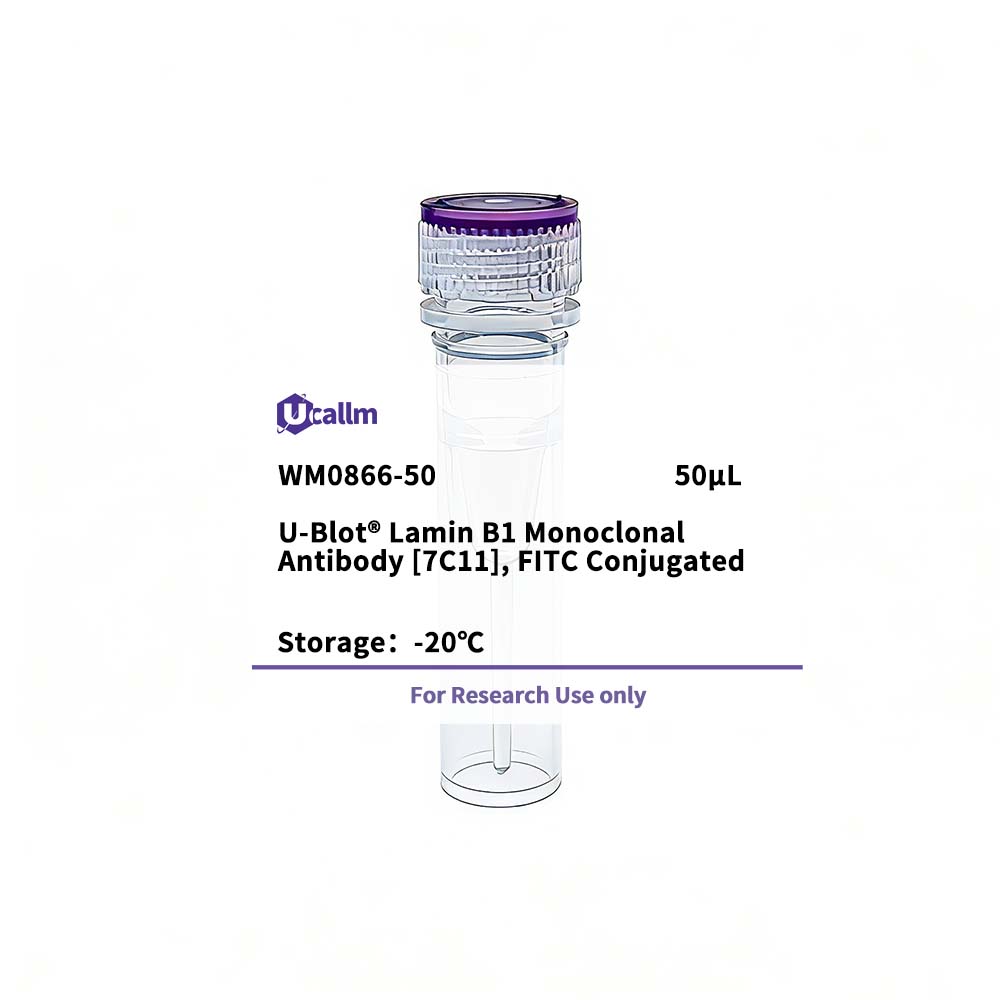 Ucallm_WM0866-50
