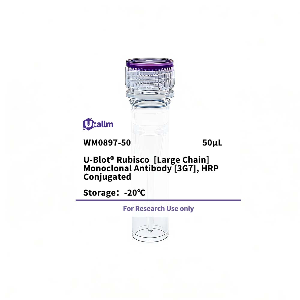Ucallm_WM0897-50