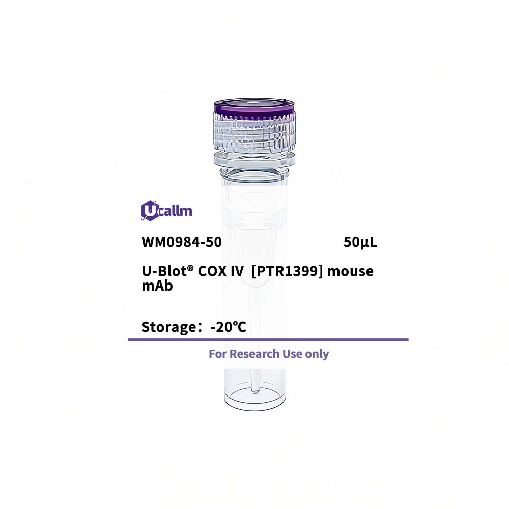 COX IV [PTR1399] mouse mAb - Ucallm