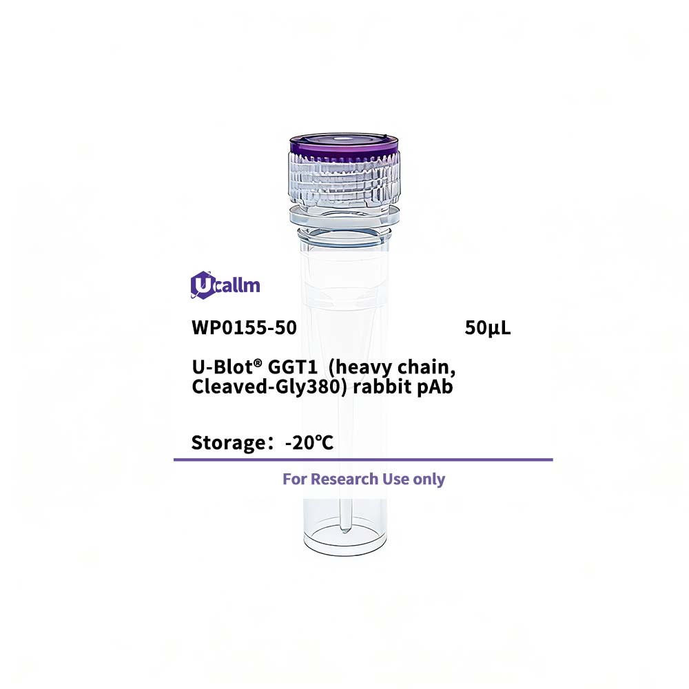 Ucallm_WP0155-50