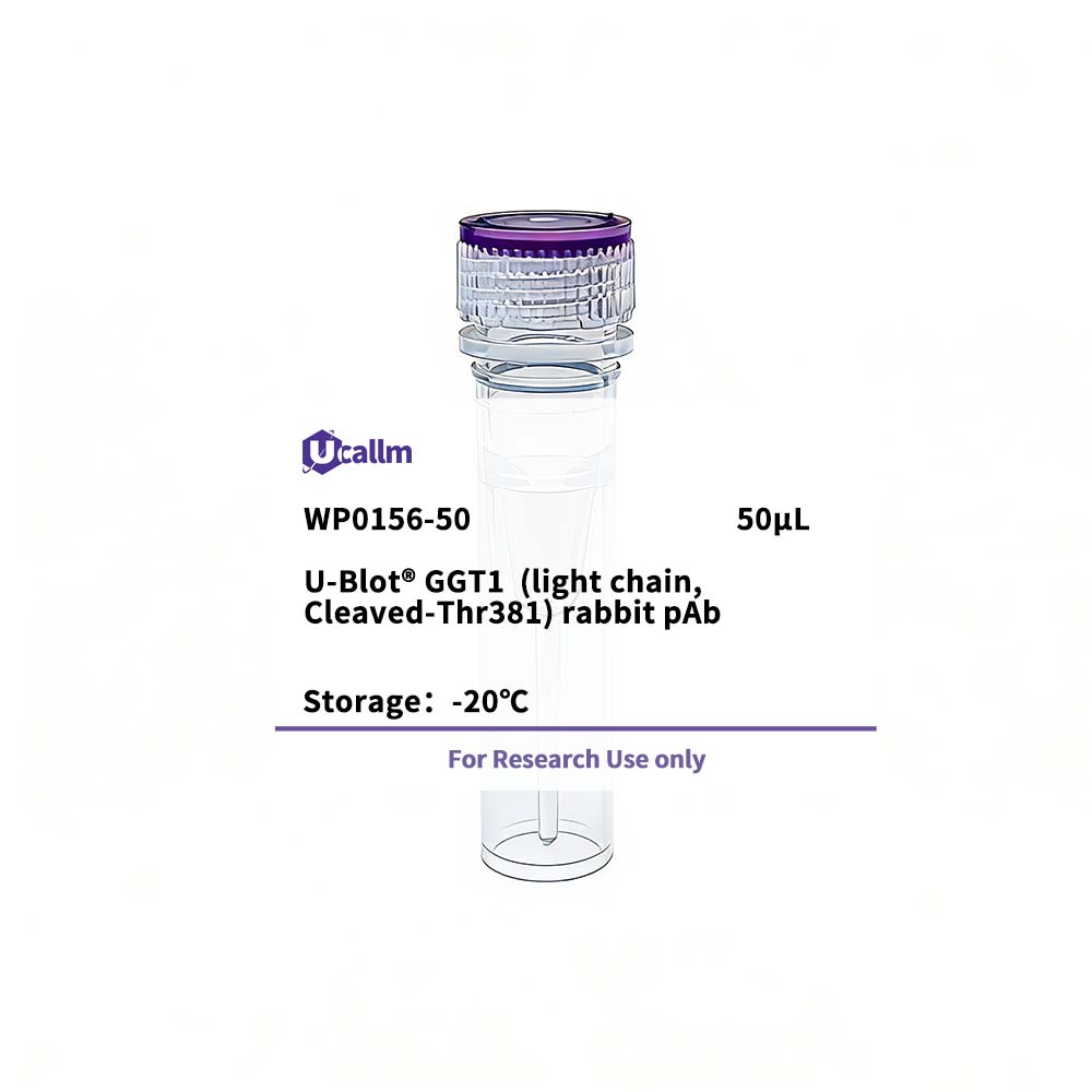 Ucallm_WP0156-50