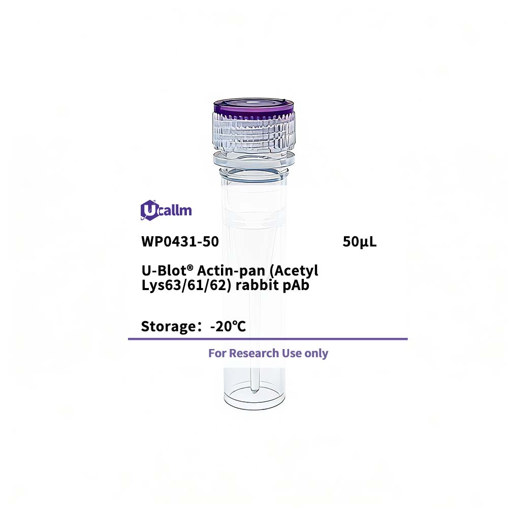 Ucallm_WP0431-50