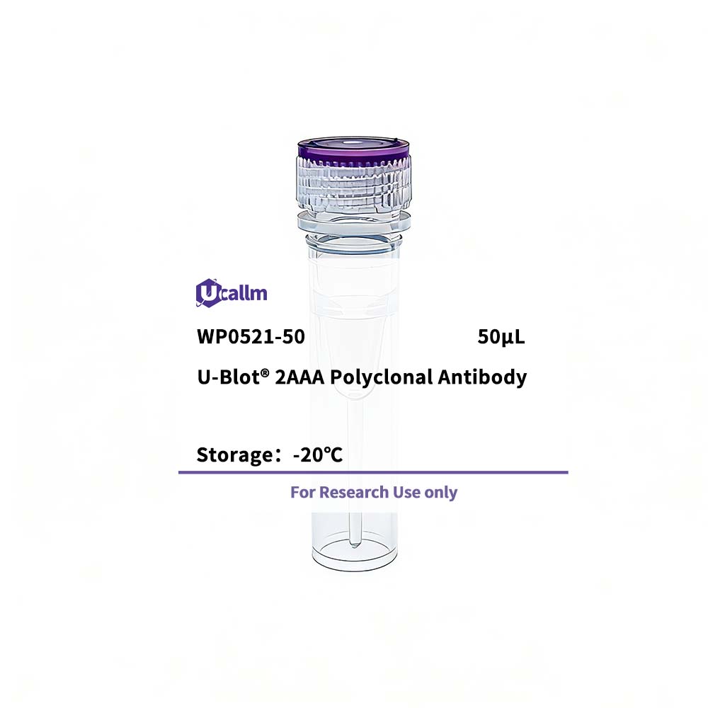 Ucallm_WP0521-50