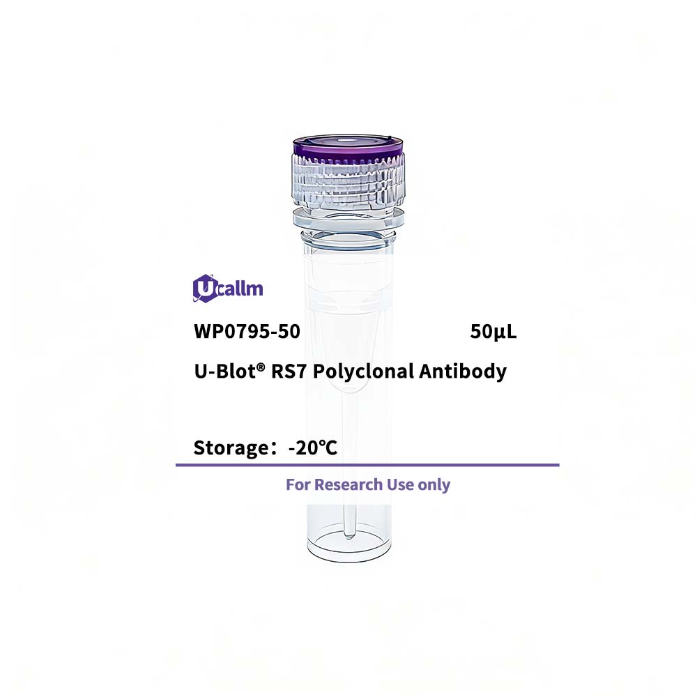 Ucallm_WP0795-50
