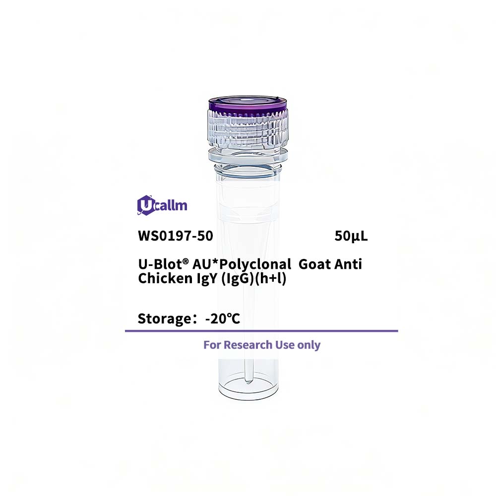 Ucallm_WS0197-50