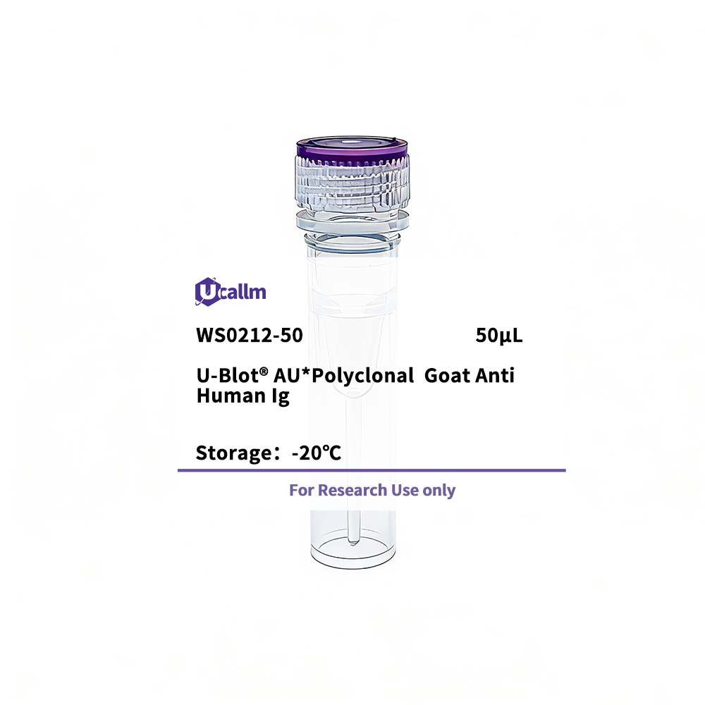 Ucallm_WS0212-50