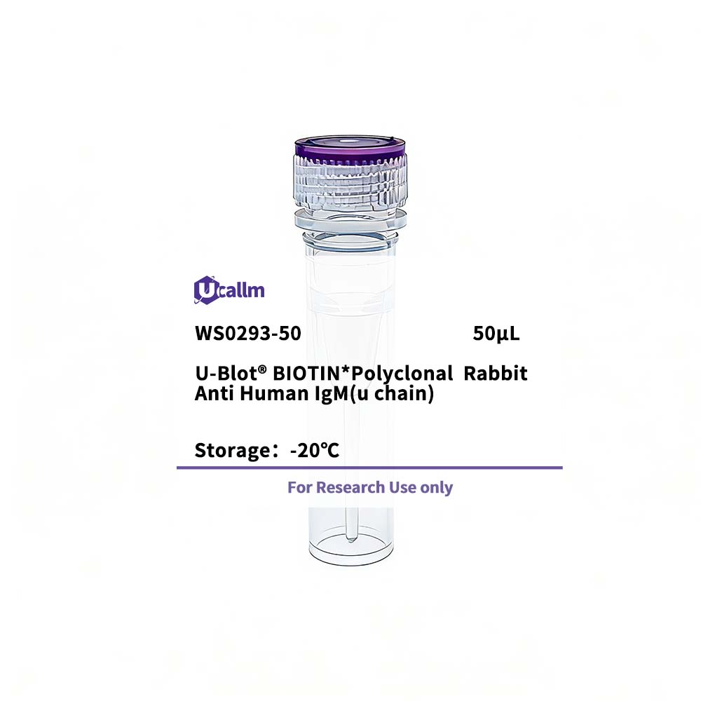 Ucallm_WS0293-50