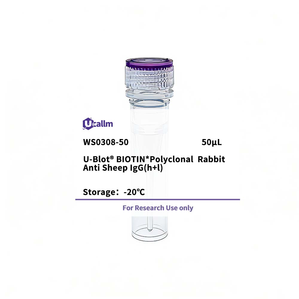 Ucallm_WS0308-50