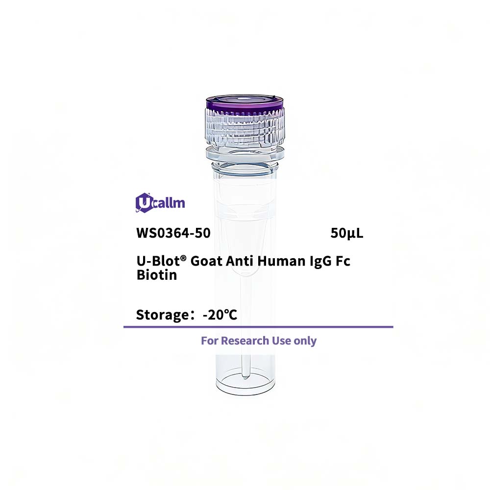 Ucallm_WS0364-50