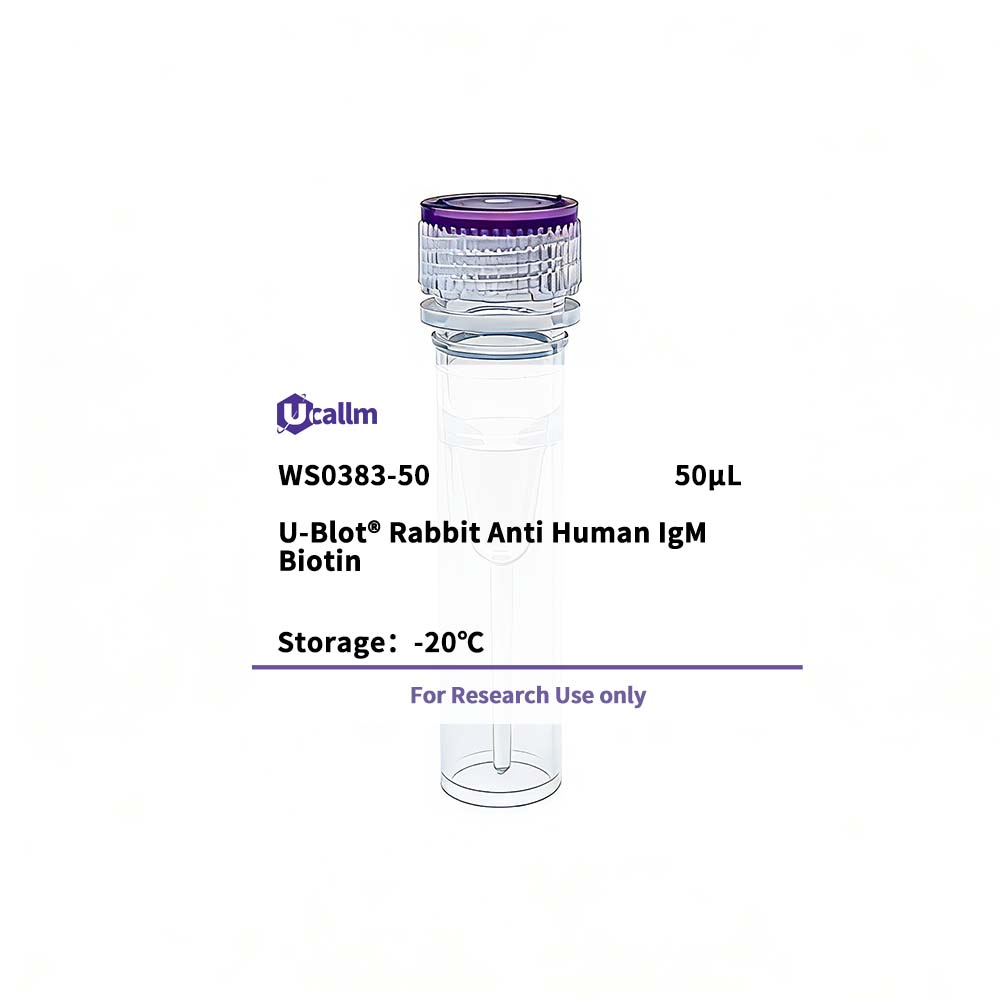 Ucallm_WS0383-50