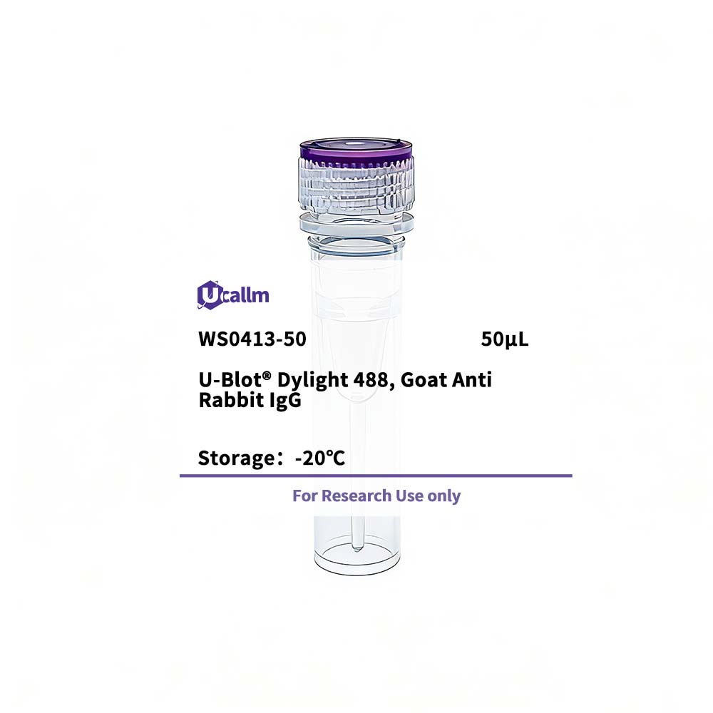 Ucallm_WS0413-50