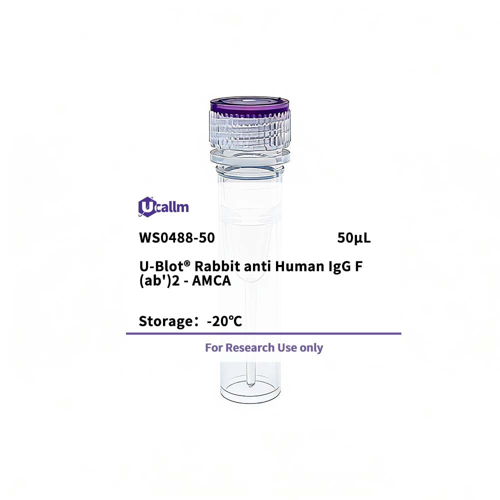 Ucallm_WS0488-50