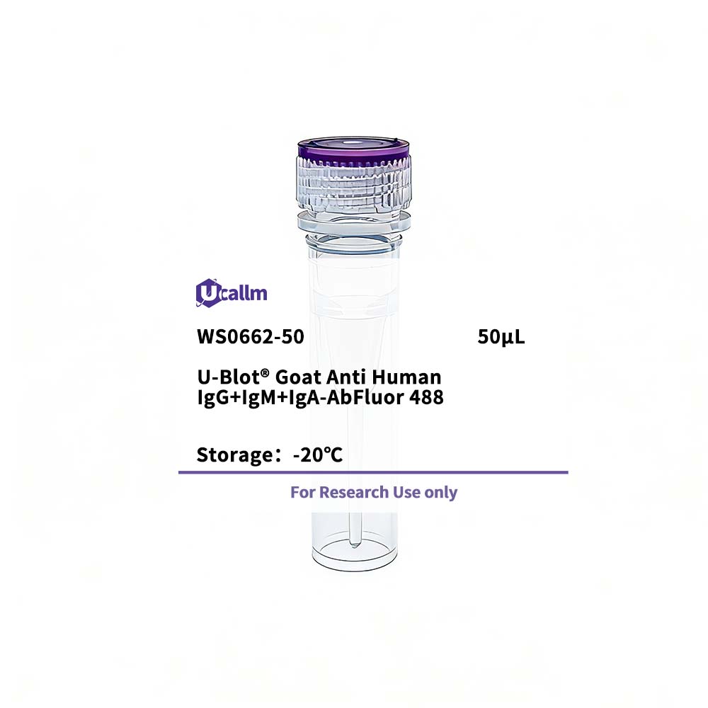 Ucallm_WS0662-50