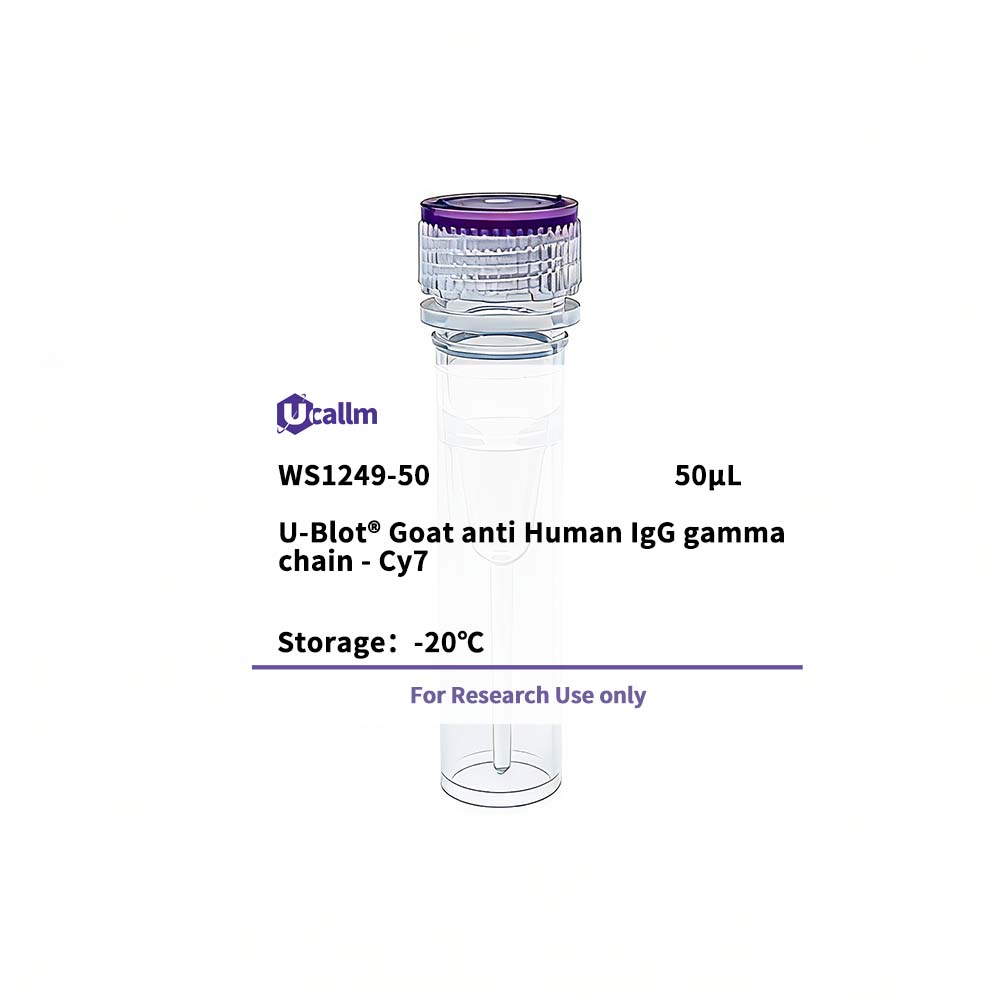 Ucallm_WS1249-50