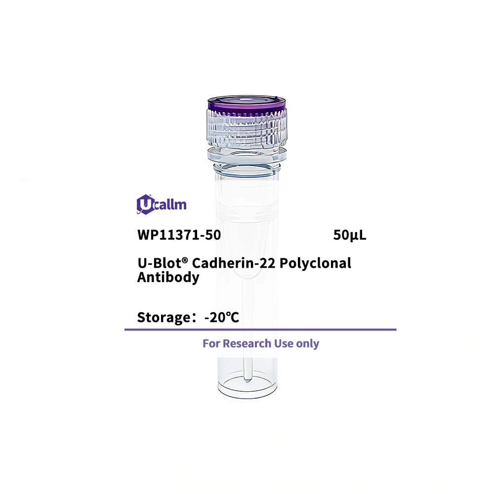 Ucallm_WP11371-50