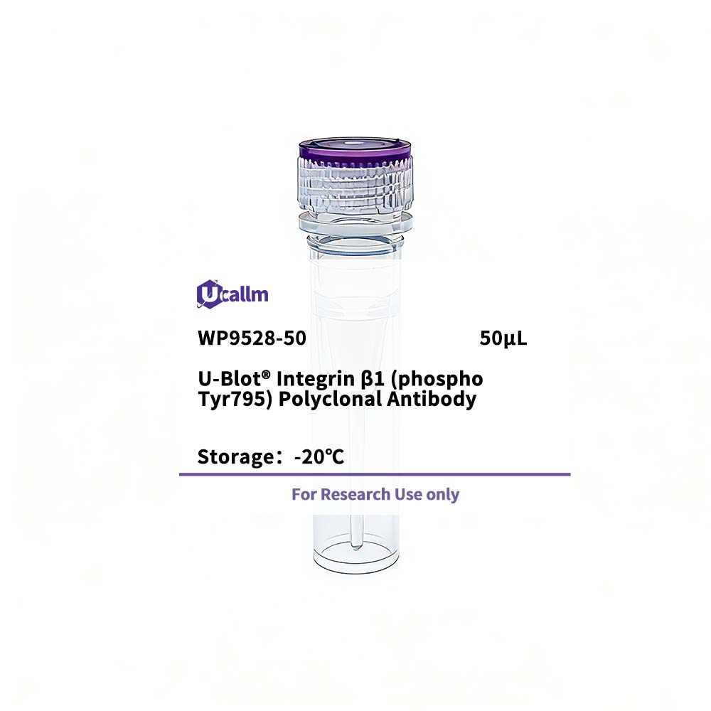 Ucallm_WP9528-50