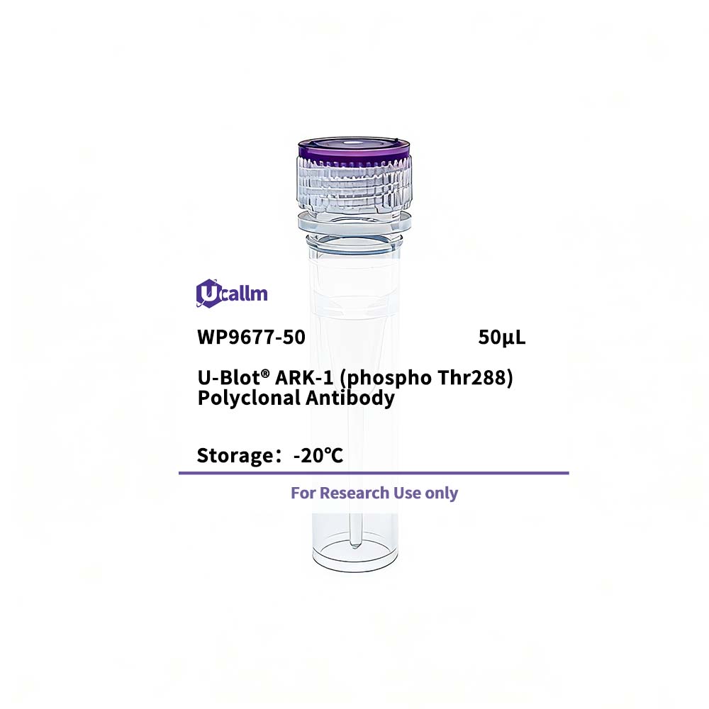 Ucallm_WP9677-50
